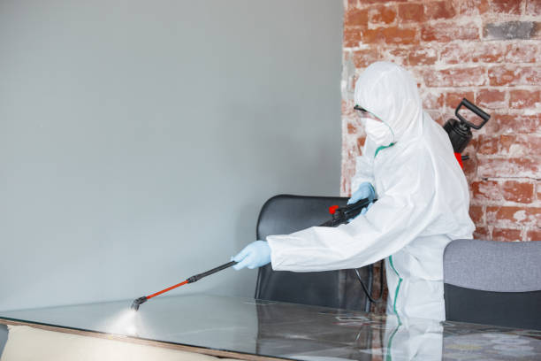 Best Real Estate Mold Inspection  in Colonia, NJ